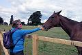 5. Horse accepts the grass from Julie